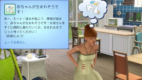 20120515d9.jpg