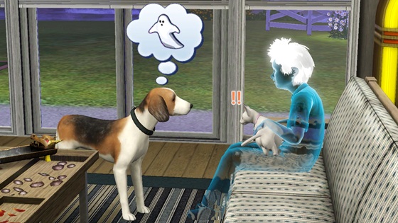 20120725c16.jpg