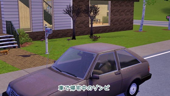 20121125c27.jpg