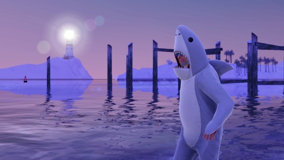 20130106b11.jpg