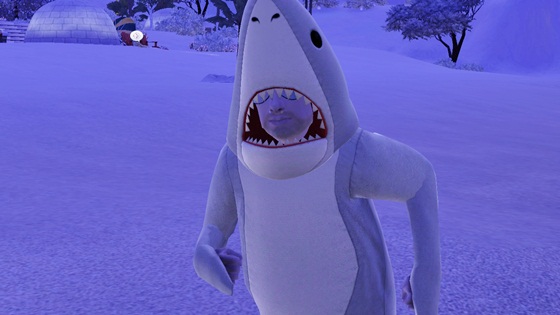 20130106b19.jpg