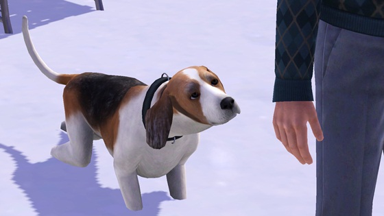 20130106b5.jpg