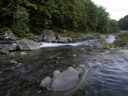 24788030_822866334_240large.jpg