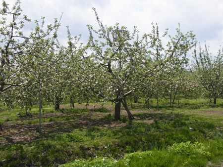 RIMG0109.jpg