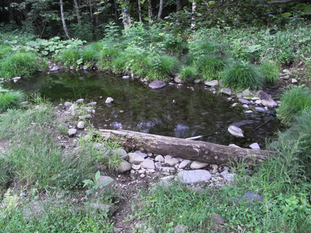 RIMG2580.jpg