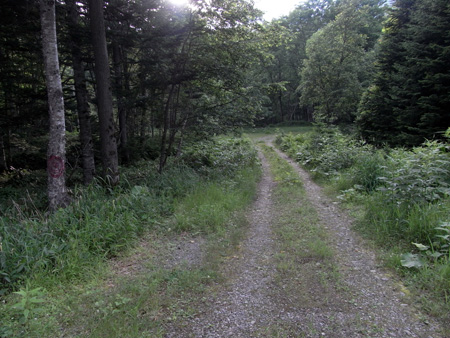 RIMG2617.jpg