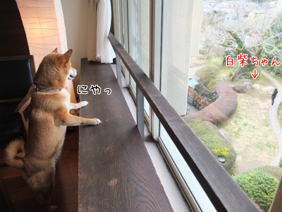画像 952