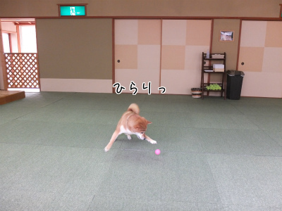 画像 1120