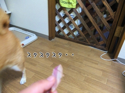 画像 1057