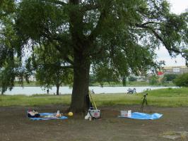 8mmpic03