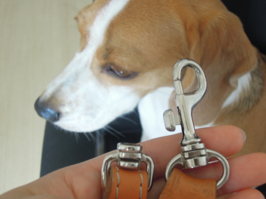 DSCN9536.jpg