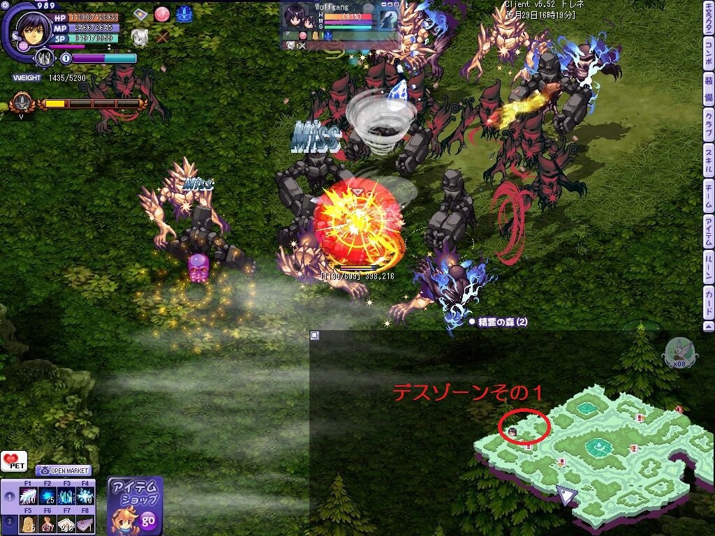 精霊の森2 デスゾーンその1