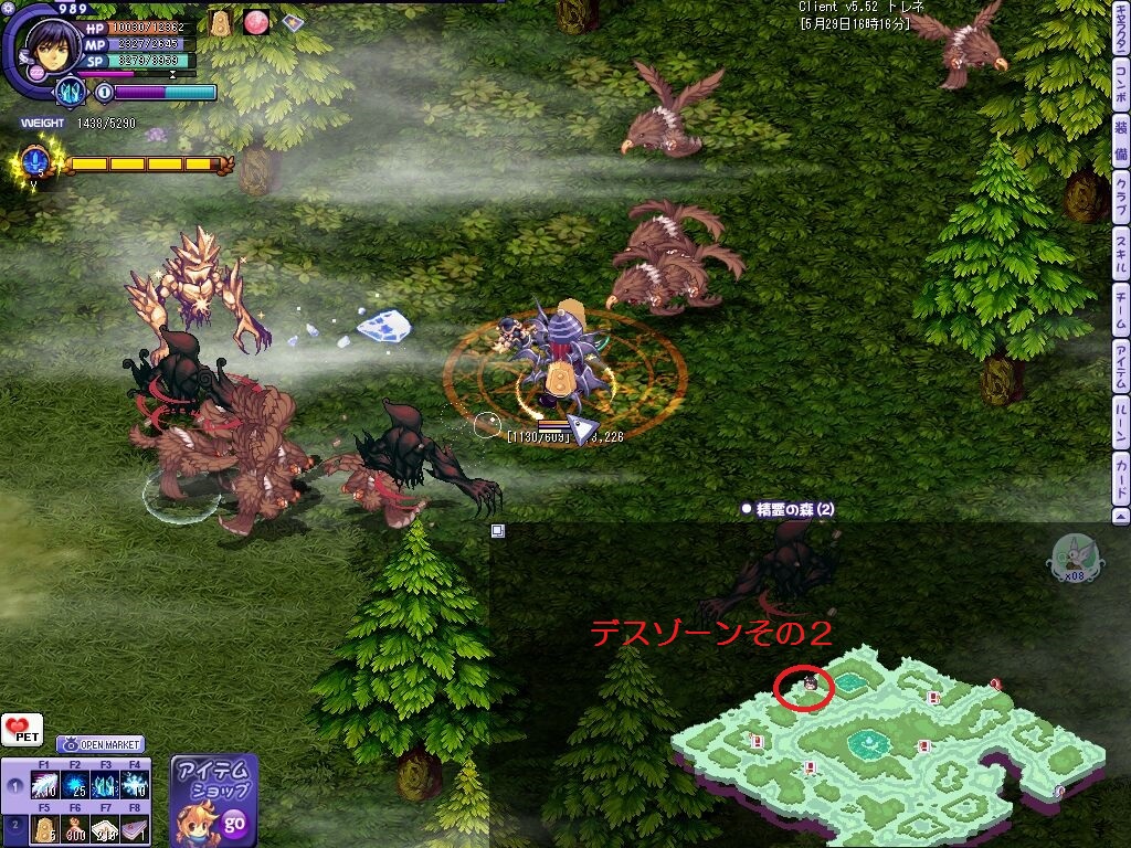 精霊の森2 デスゾーンその2