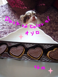 2012100501.jpg