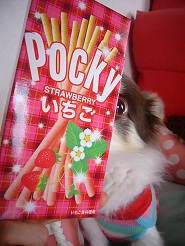 2012102901.jpg
