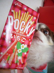 2012102902.jpg