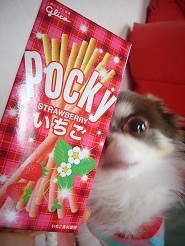2012102903.jpg