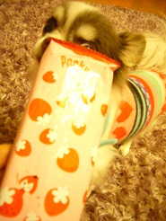 2012102904.jpg