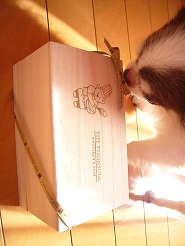2012110220.jpg