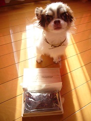 2012110221.jpg