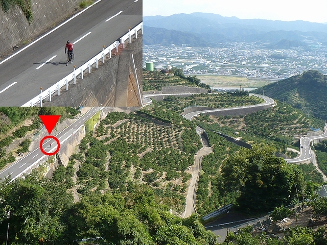 千葉山ヒルクライム