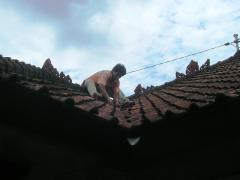 amamori13-01-05.jpg