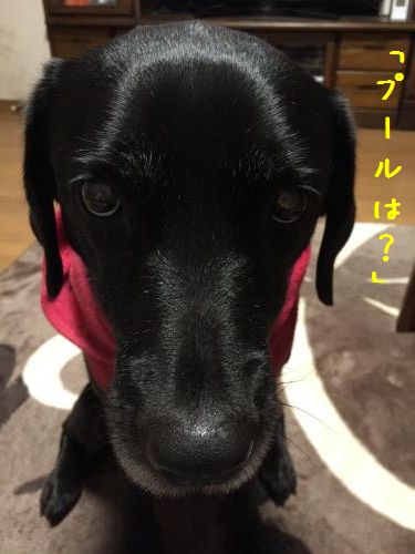 20141123j