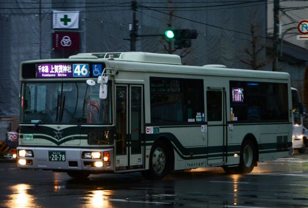 7p1.jpg