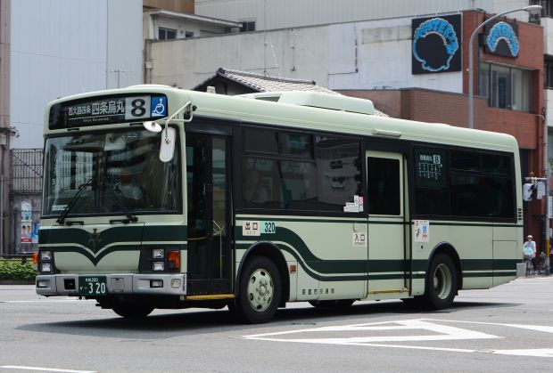 7p15.jpg