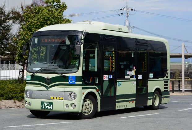 7p19.jpg