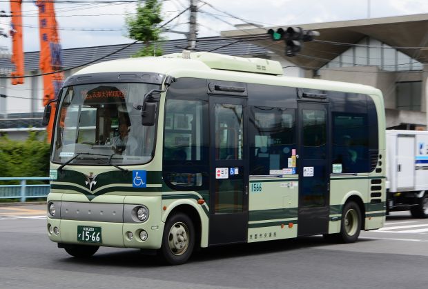 7p21.jpg