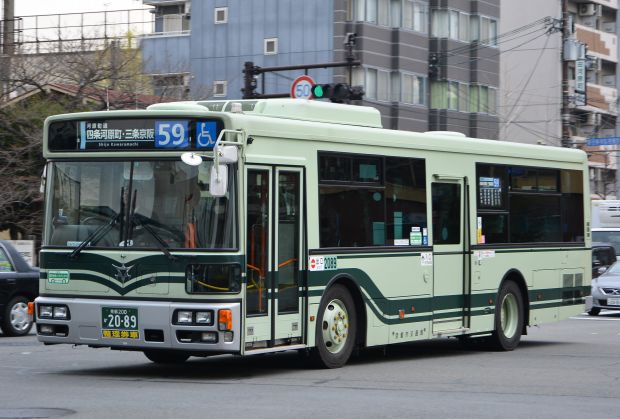 7p23.jpg