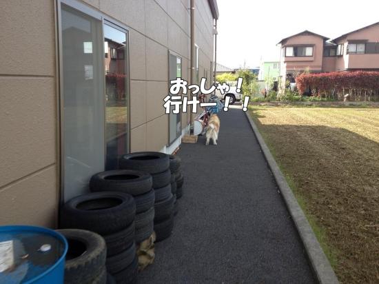 逕サ蜒・007_convert_20130410174652