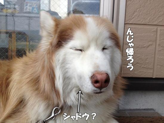 逕サ蜒・004_convert_20130410174631
