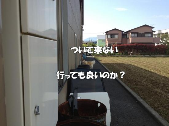 逕サ蜒・006_convert_20130410174641
