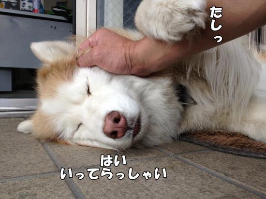 逕サ蜒・004_convert_20130528183930