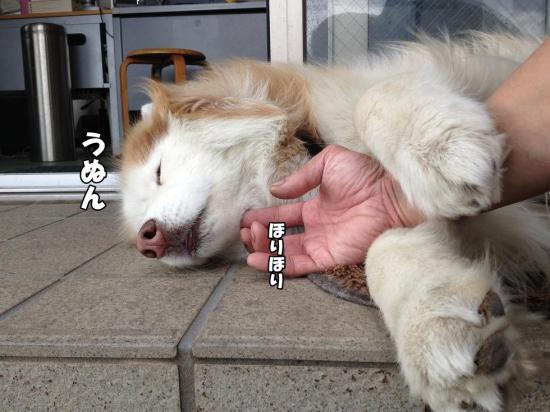 逕サ蜒・002_convert_20130528183913