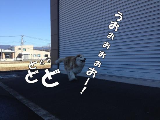 IMG_7426_convert_20140131184016.jpg