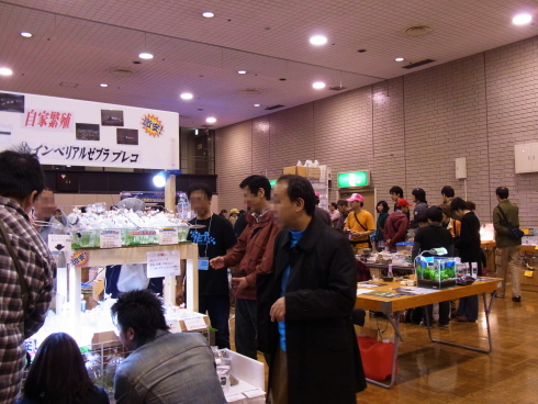 120422e.jpg