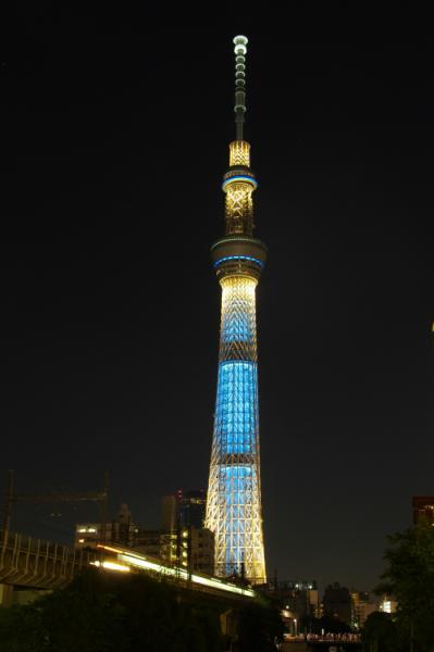 東京ホタル3