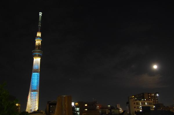 東京ホタル7