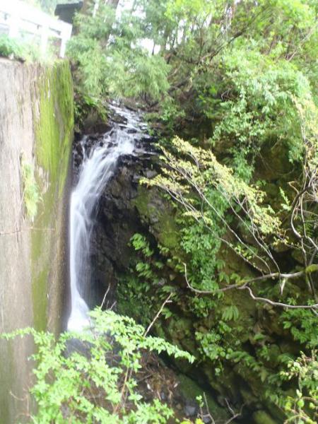 050309.jpg