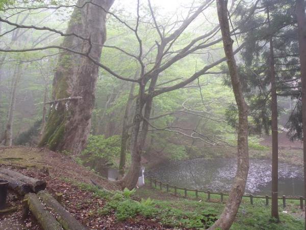 050324.jpg