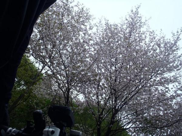 050326.jpg
