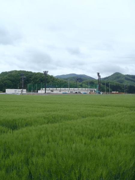 050330.jpg