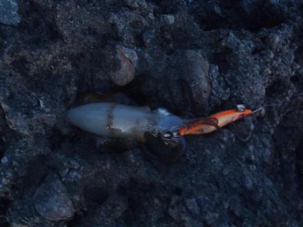 2012091303.jpg