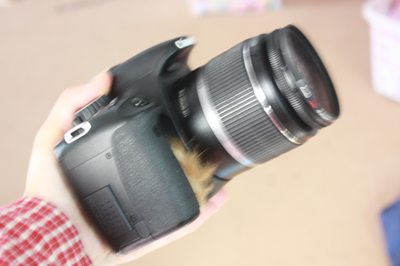 ファー付き一眼レフ