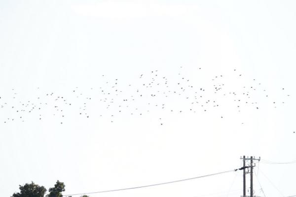 20121020-001