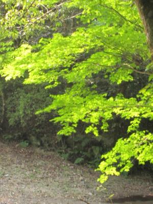 IMG_3201_1.jpg