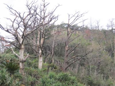 IMG_3665.jpg